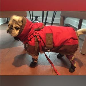 Winter Outdoor dog coat